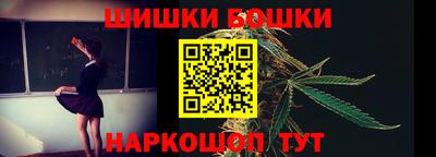 МДПВ Бийск