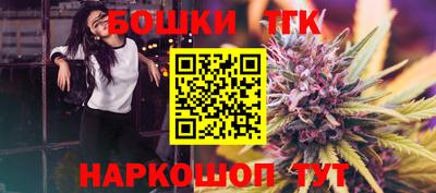 МДПВ Бийск