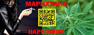 МДПВ Бийск