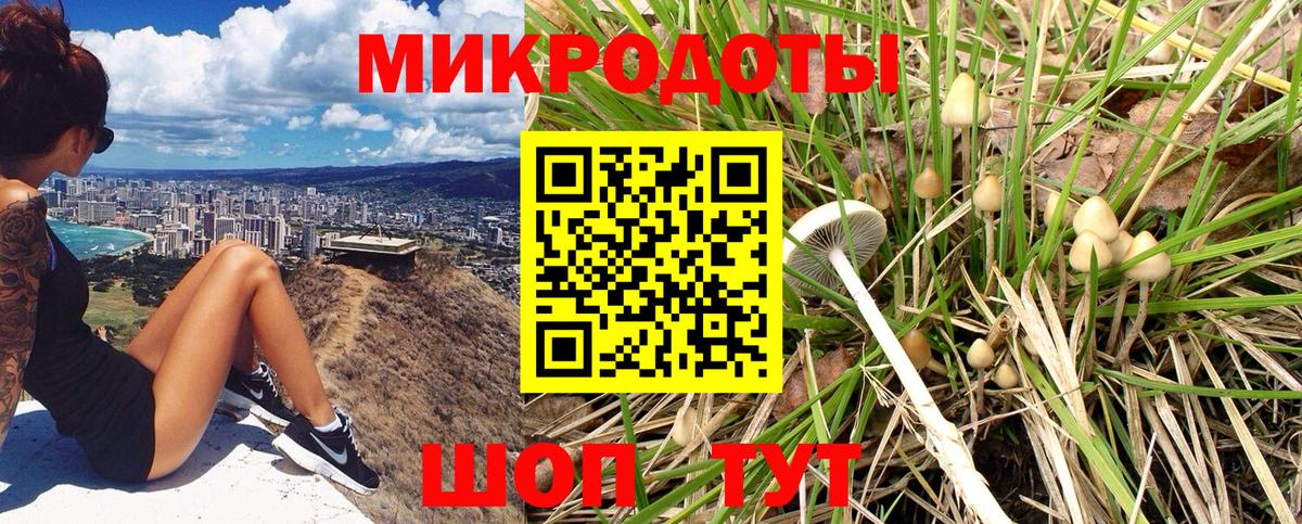 Псилоцибиновые грибы прущие грибы Зима