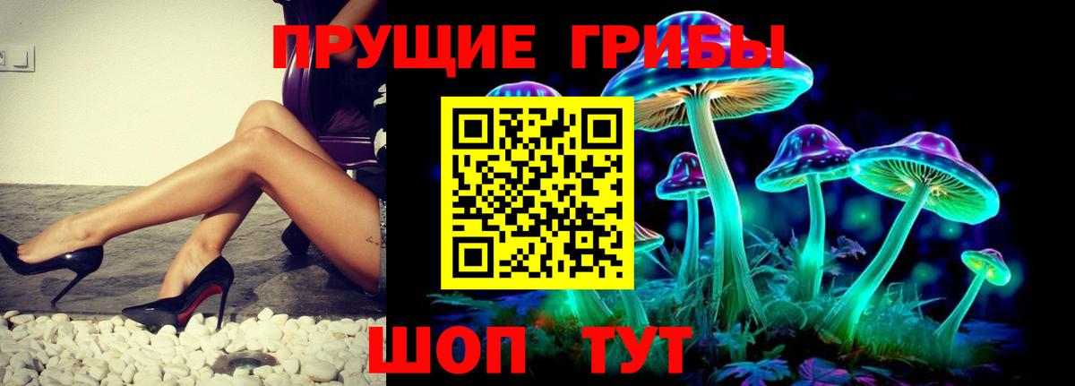 где купить наркоту  Вход с VPN  Зима  Галлюциногенные грибы мухоморы 