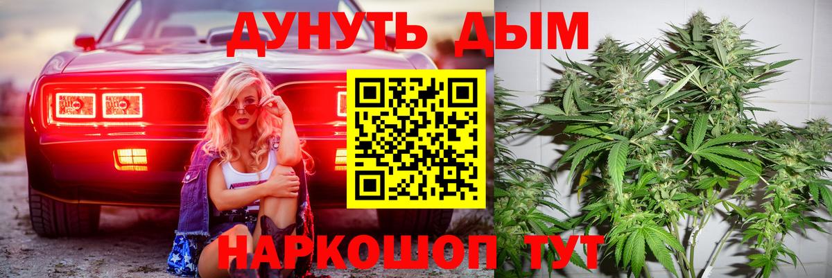 МАРИХУАНА гибрид Зима